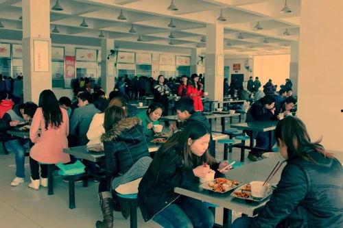 万秀食堂爆料视频,揭秘校园美食背后的故事